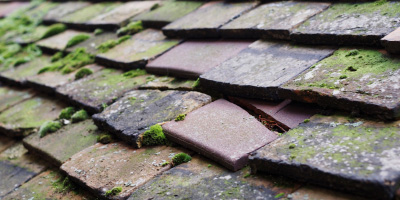 Boveney roof repair costs
